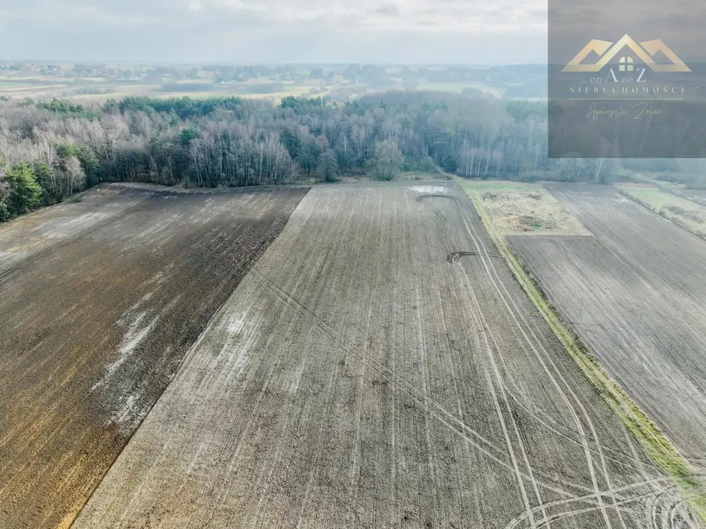 Działka z lasem w atrakcyjnej lokalizacji — zdjęcie 5, Działka na sprzedaż, Lisia Góra, Tarnów