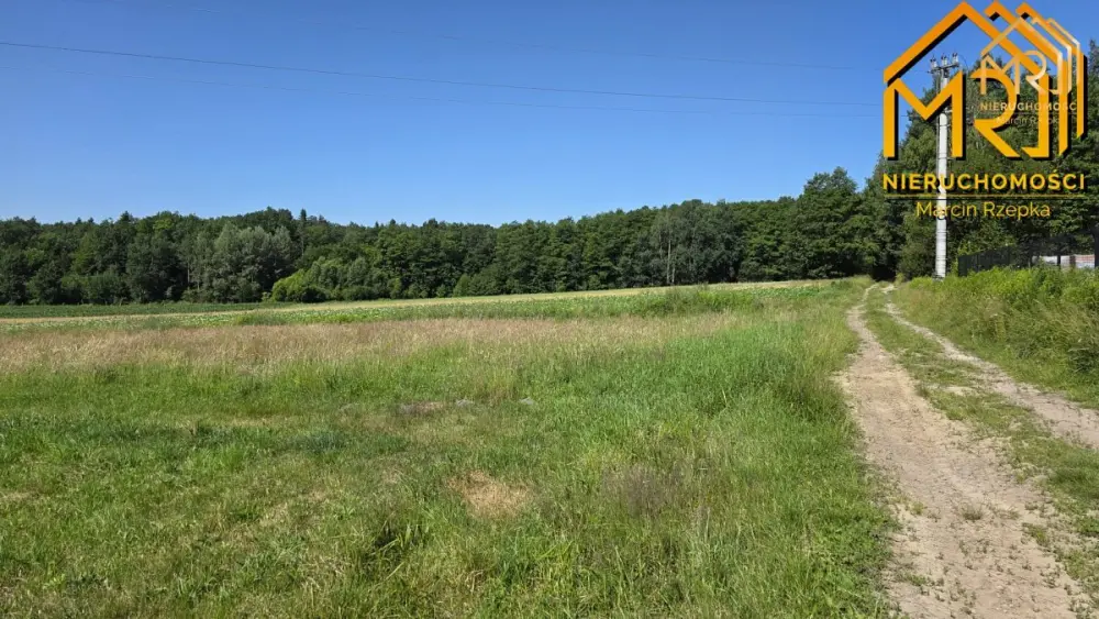 Działka z wydanymi warunkami zabudowy – gm. Czarna — zdjęcie 5, Działka na sprzedaż, Podlesie, Tarnów