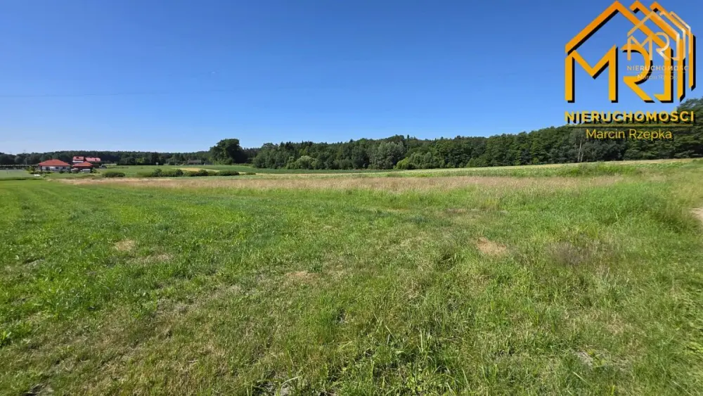 Działka z wydanymi warunkami zabudowy – gm. Czarna — zdjęcie 4, Działka na sprzedaż, Podlesie, Tarnów