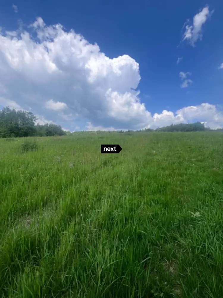 Działka z Wz-2,5 ha Łęki Górne — zdjęcie 4, Działka na sprzedaż, Łęki Górne, Tarnów