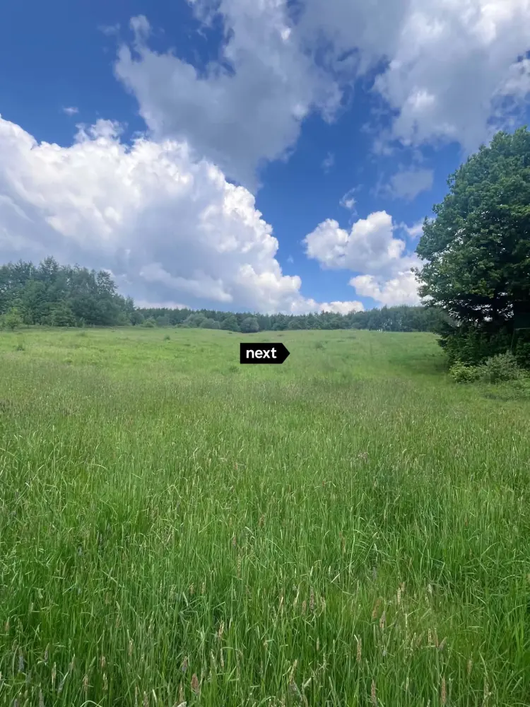 Działka z Wz-2,5 ha Łęki Górne — zdjęcie 6, Działka na sprzedaż, Łęki Górne, Tarnów
