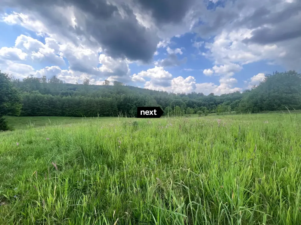 Działka z Wz-2,5 ha Łęki Górne — Działka na sprzedaż, Łęki Górne, Tarnów