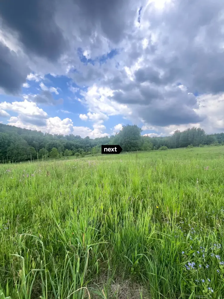 Działka z Wz-2,5 ha Łęki Górne — zdjęcie 2, Działka na sprzedaż, Łęki Górne, Tarnów