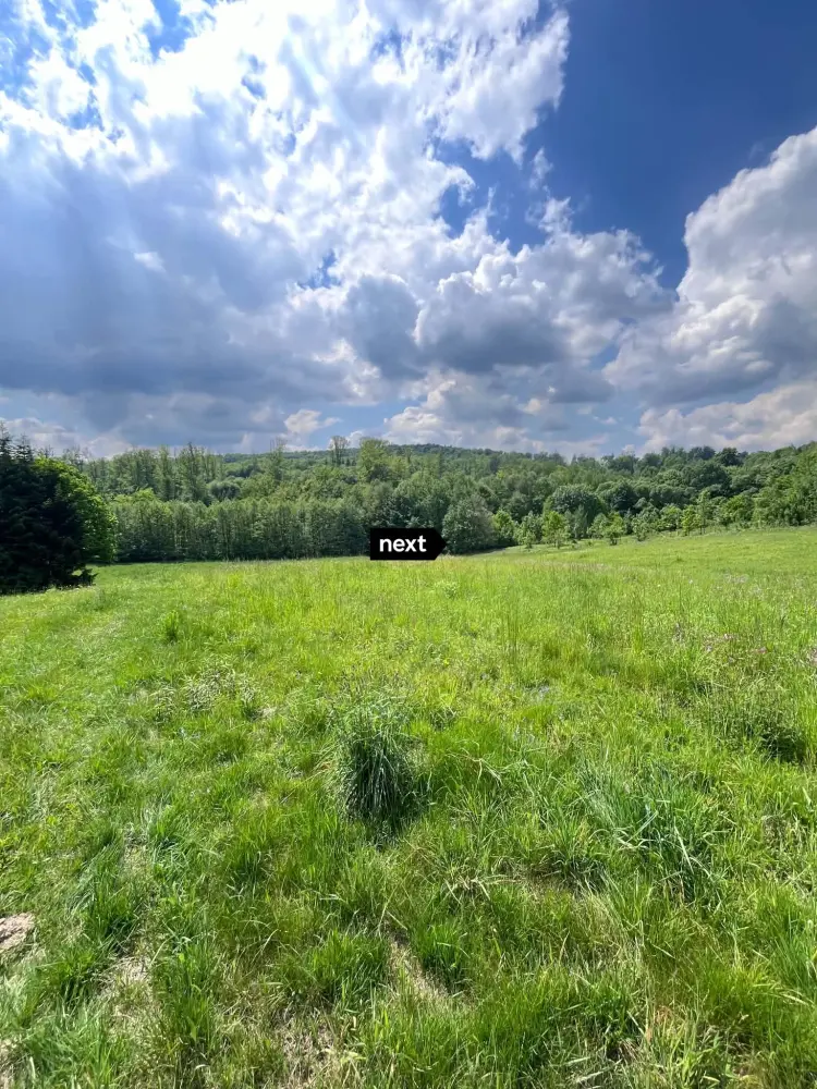 Działka z Wz-2,5 ha Łęki Górne — zdjęcie 5, Działka na sprzedaż, Łęki Górne, Tarnów