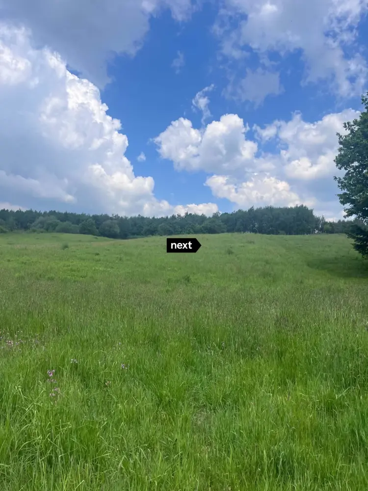 Działka z Wz-2,5 ha Łęki Górne — zdjęcie 3, Działka na sprzedaż, Łęki Górne, Tarnów