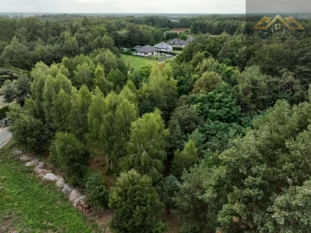 Działka z WZ i prywatnym lasem — zdjęcie 2, Działka na sprzedaż, Dąbrowa Tarnowska, Tarnów