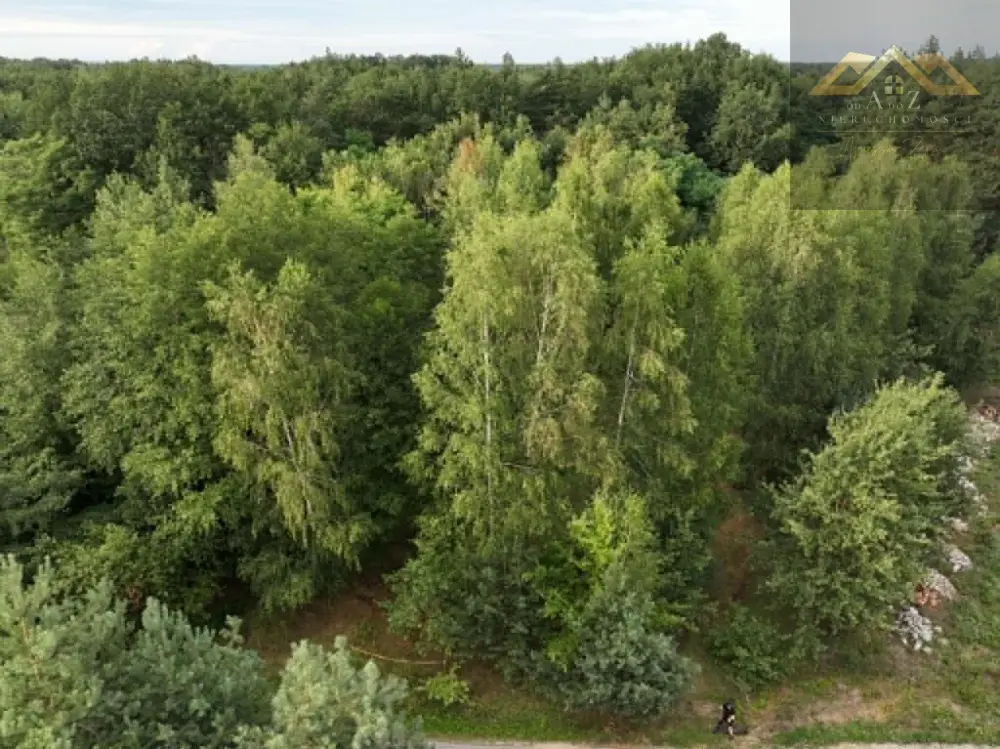 Działka z WZ i prywatnym lasem — zdjęcie 10, Działka na sprzedaż, Dąbrowa Tarnowska, Tarnów