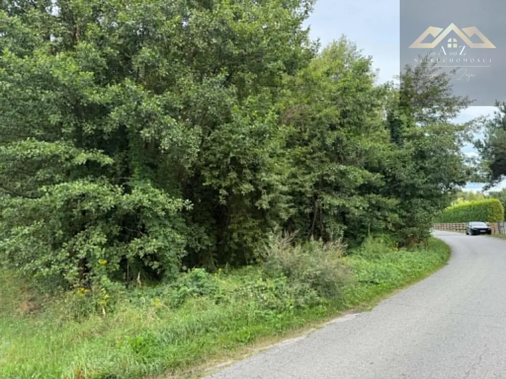 Działka z WZ i prywatnym lasem — zdjęcie 3, Działka na sprzedaż, Dąbrowa Tarnowska, Tarnów
