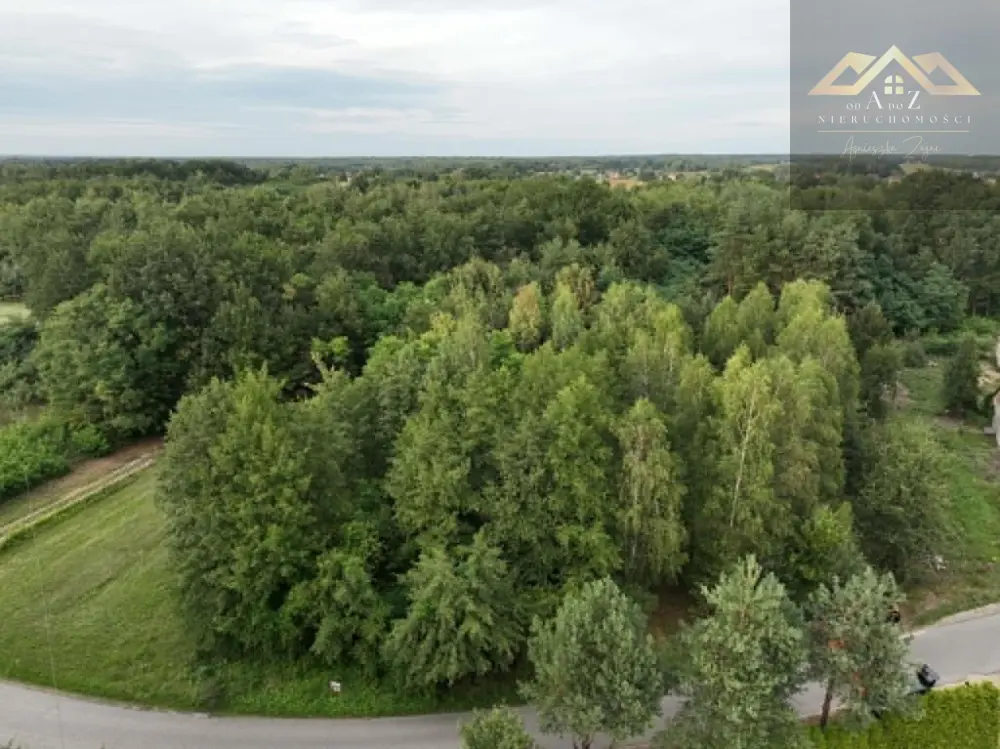 Działka z WZ i prywatnym lasem — zdjęcie 5, Działka na sprzedaż, Dąbrowa Tarnowska, Tarnów