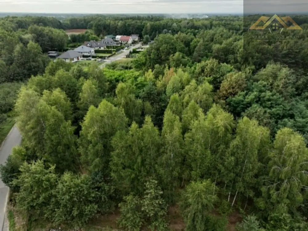 Działka z WZ i prywatnym lasem — zdjęcie 4, Działka na sprzedaż, Dąbrowa Tarnowska, Tarnów