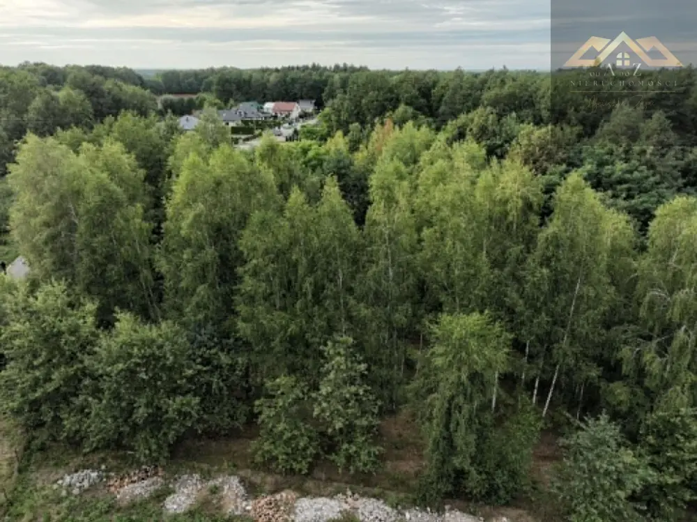 Działka z WZ i prywatnym lasem — zdjęcie 9, Działka na sprzedaż, Dąbrowa Tarnowska, Tarnów