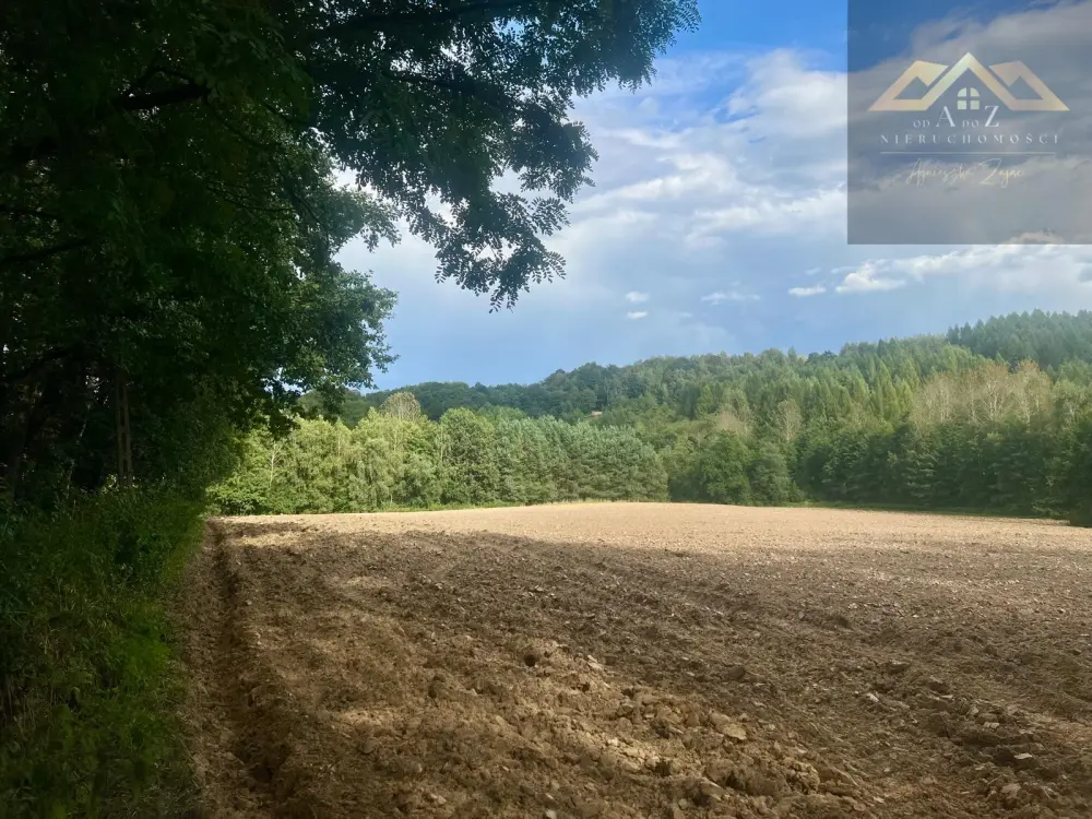 Działki budowlane blisko Tuchowa — zdjęcie 8, Działka na sprzedaż, Buchcice, gm. Tuchów