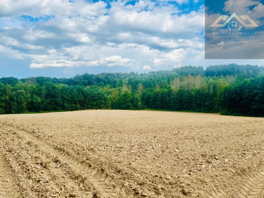 Działki budowlane blisko Tuchowa — zdjęcie 3, Działka na sprzedaż, Buchcice, gm. Tuchów
