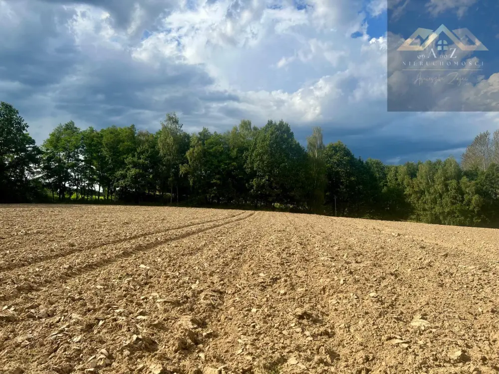 Działki budowlane blisko Tuchowa — zdjęcie 4, Działka na sprzedaż, Buchcice, gm. Tuchów