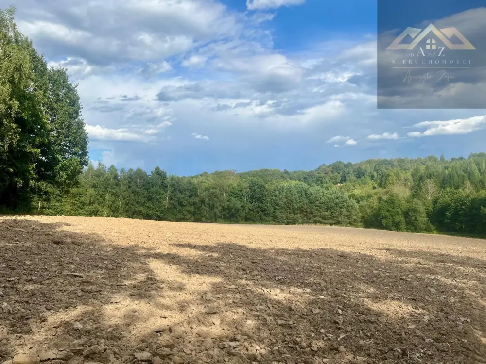 Działki budowlane blisko Tuchowa — zdjęcie 2, Działka na sprzedaż, Buchcice, gm. Tuchów