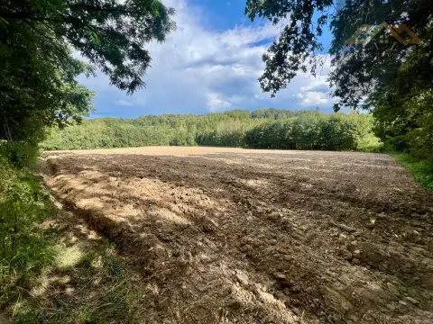 Działki budowlane blisko Tuchowa — Tuchów