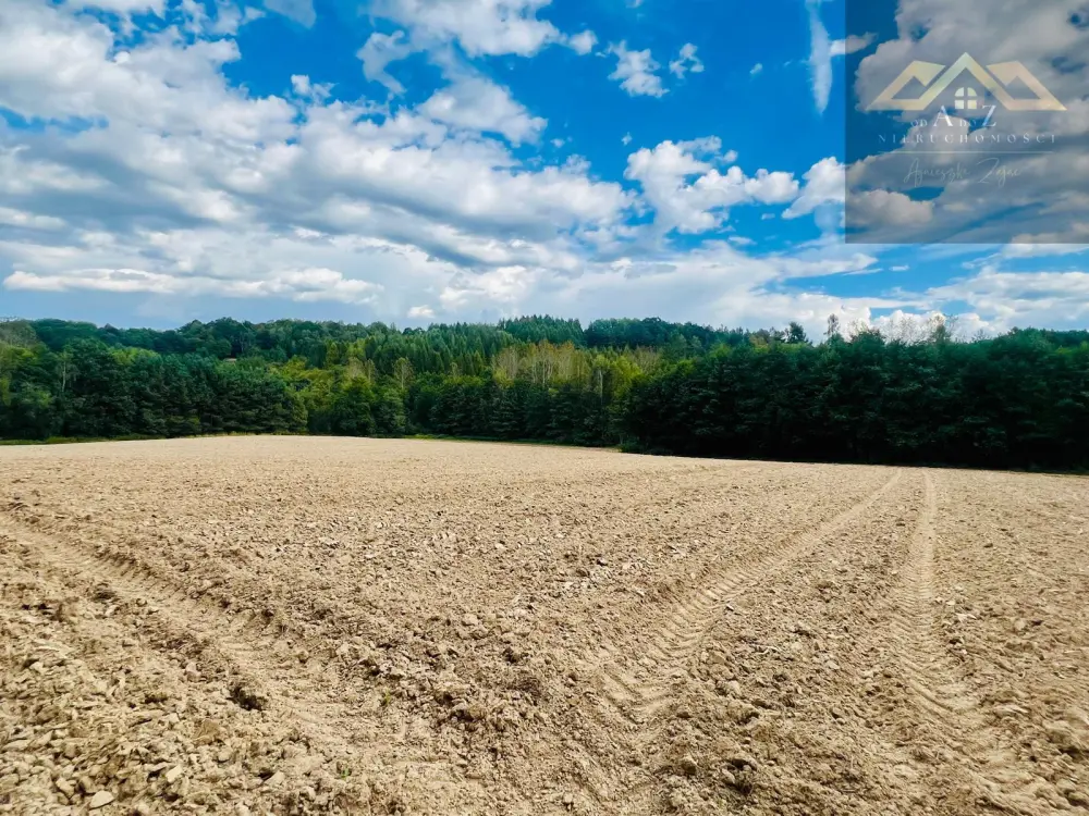 Działki budowlane blisko Tuchowa — zdjęcie 6, Działka na sprzedaż, Buchcice, gm. Tuchów