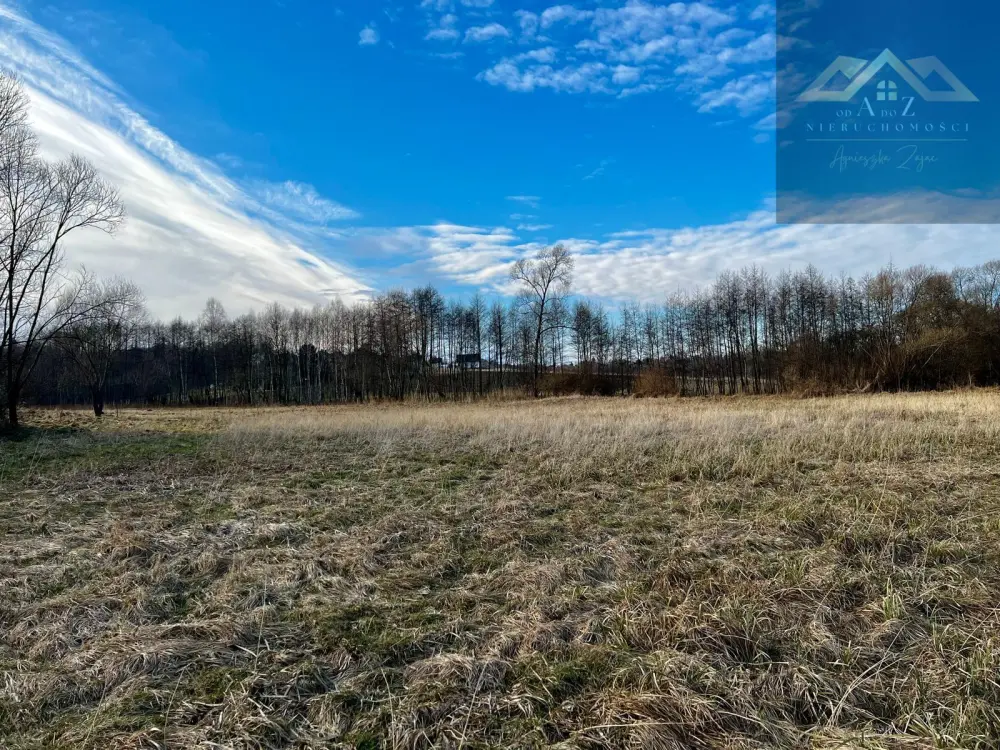 Grunty 3 ha pod agroturystykę, stawy, stadninę koni, zabudowę — zdjęcie 6, Działka na sprzedaż, Gnojnik, Tarnów
