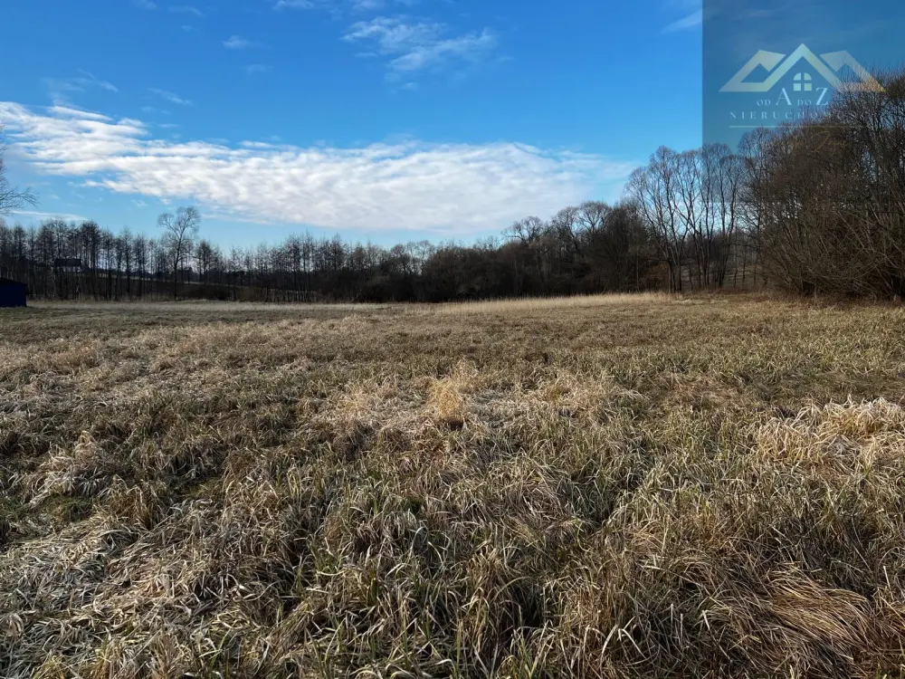 Grunty 3 ha pod agroturystykę, stawy, stadninę koni, zabudowę — zdjęcie 8, Działka na sprzedaż, Gnojnik, Tarnów
