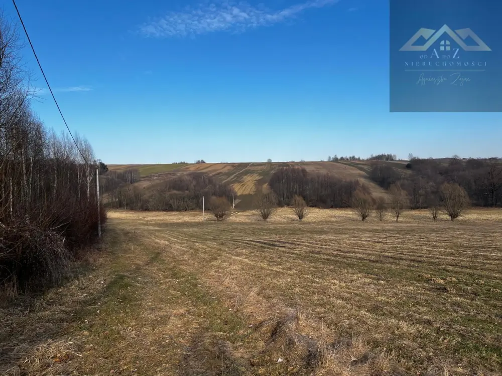 Grunty 3 ha pod agroturystykę, stawy, stadninę koni, zabudowę — zdjęcie 4, Działka na sprzedaż, Gnojnik, Tarnów