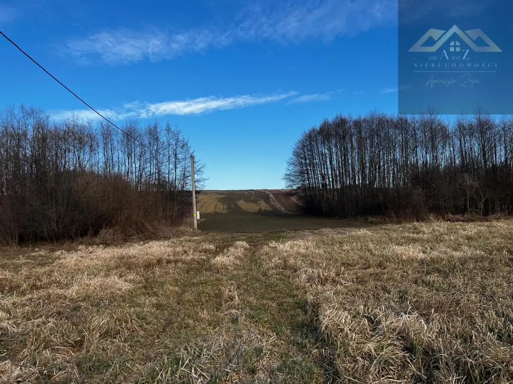 Grunty 3 ha pod agroturystykę, stawy, stadninę koni, zabudowę — zdjęcie 9, Działka na sprzedaż, Gnojnik, Tarnów