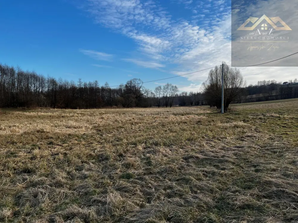Grunty 3 ha pod agroturystykę, stawy, stadninę koni, zabudowę — zdjęcie 7, Działka na sprzedaż, Gnojnik, Tarnów
