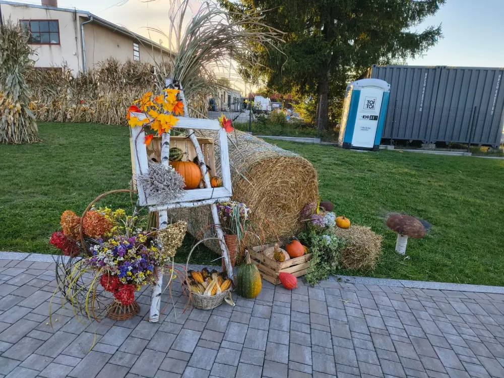 Jesienna sceneria w Koszycach Wielkich — zdjęcie 2, Ciekawe miejsce, Koszyce Wielkie, Tarnów