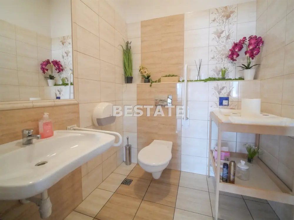 Lokal użytkowy 500 m², Mikołajowice — zdjęcie 7, Lokal użytkowy na wynajem, Mikołajowice, gm. Wierzchosławice