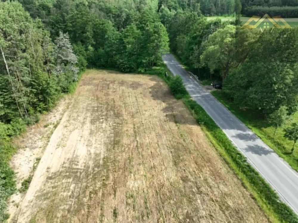Piękna działka w otulinie lasu, 50 a, z warunkami zabudowy Wólka Dulecka — zdjęcie 6, Działka na sprzedaż, Radomyśl Wielki, Tarnów
