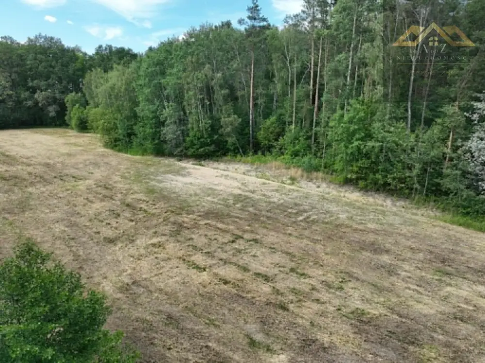 Piękna działka w otulinie lasu, 50 a, z warunkami zabudowy Wólka Dulecka — zdjęcie 2, Działka na sprzedaż, Radomyśl Wielki, Tarnów
