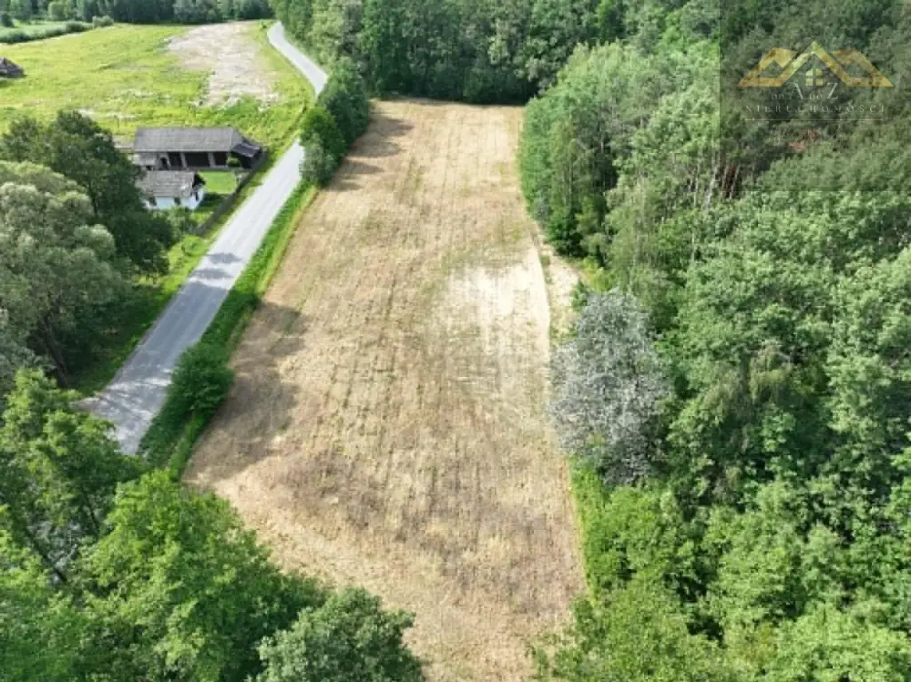Piękna działka w otulinie lasu, 50 a, z warunkami zabudowy Wólka Dulecka — zdjęcie 8, Działka na sprzedaż, Radomyśl Wielki, Tarnów
