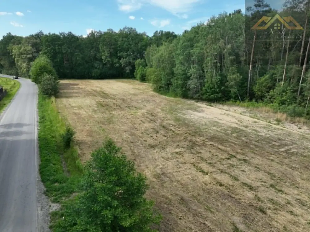 Piękna działka w otulinie lasu, 50 a, z warunkami zabudowy Wólka Dulecka — zdjęcie 4, Działka na sprzedaż, Radomyśl Wielki, Tarnów