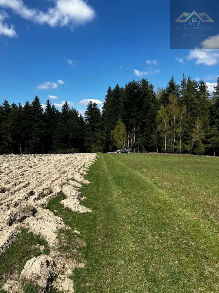 Twój własny las iglasty — zdjęcie 6, Działka na sprzedaż, Czermna, gm. Szerzyny