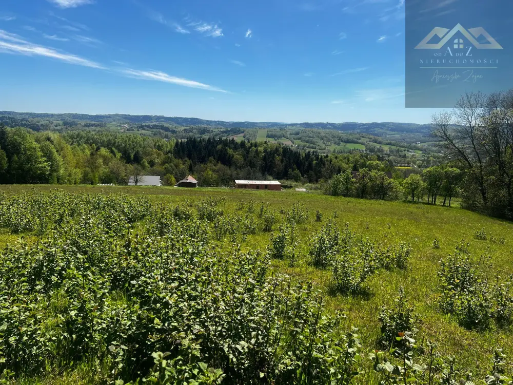 Widokowa działka na Pogórze i Tatry — zdjęcie 5, Działka na sprzedaż, Siemiechów, gm. Gromnik
